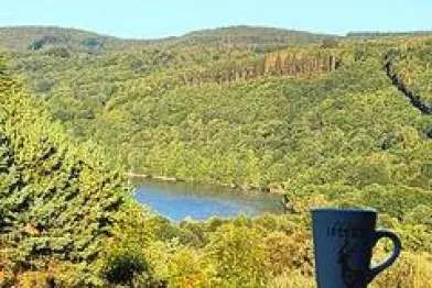 Patricia Podevin - 305