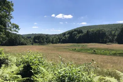 Paysage le long du parcours