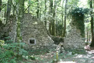 Les Pansières