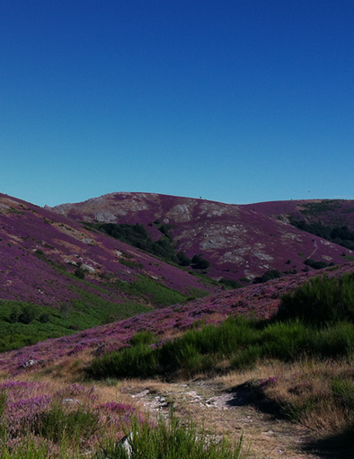 photo du massif du caroux